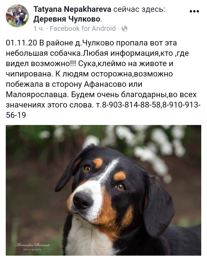 20201102_153710.jpg