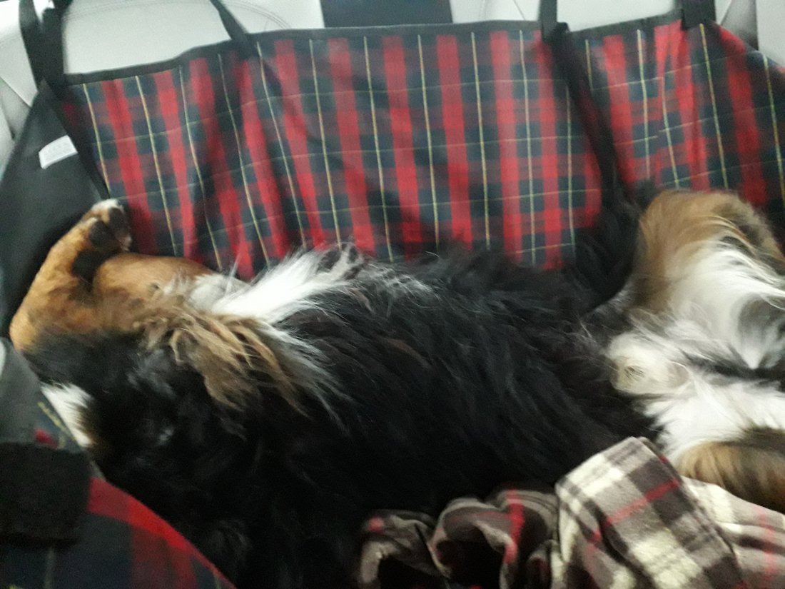 20201219_152004.jpg