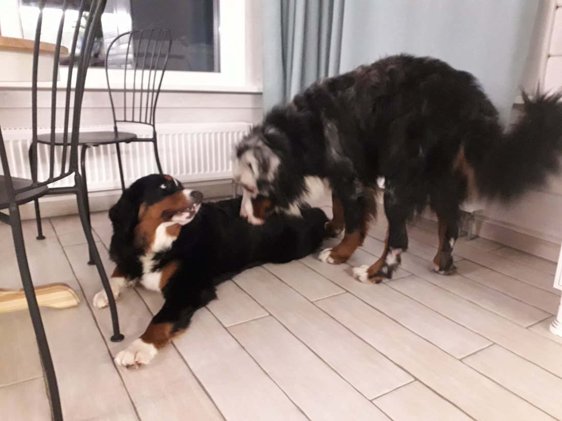 20201219_181017.jpg