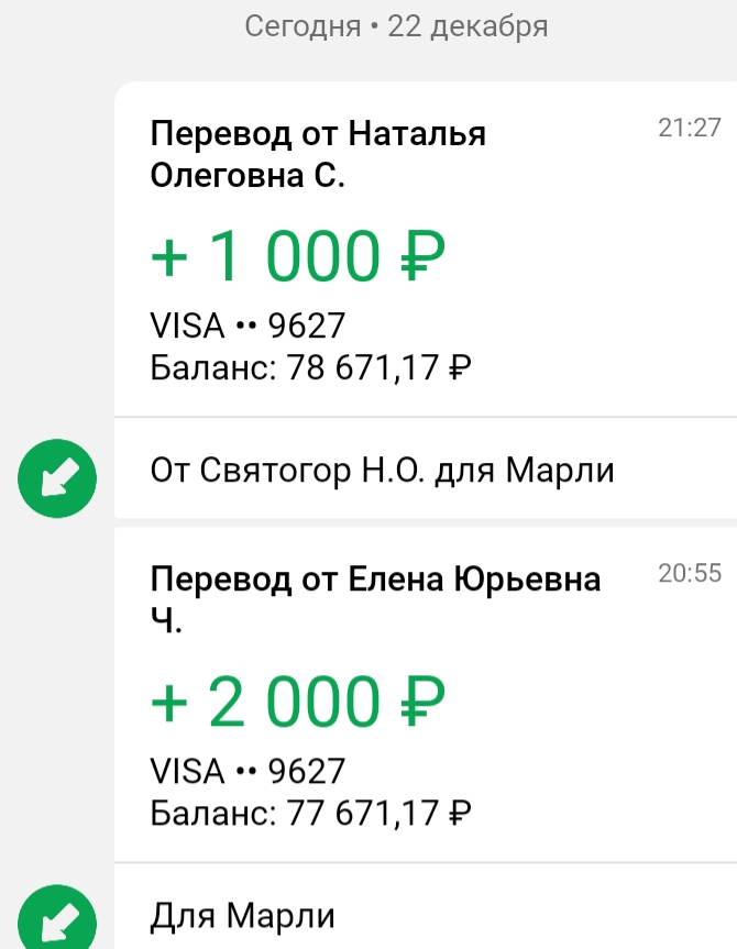 20201222_201911.jpg