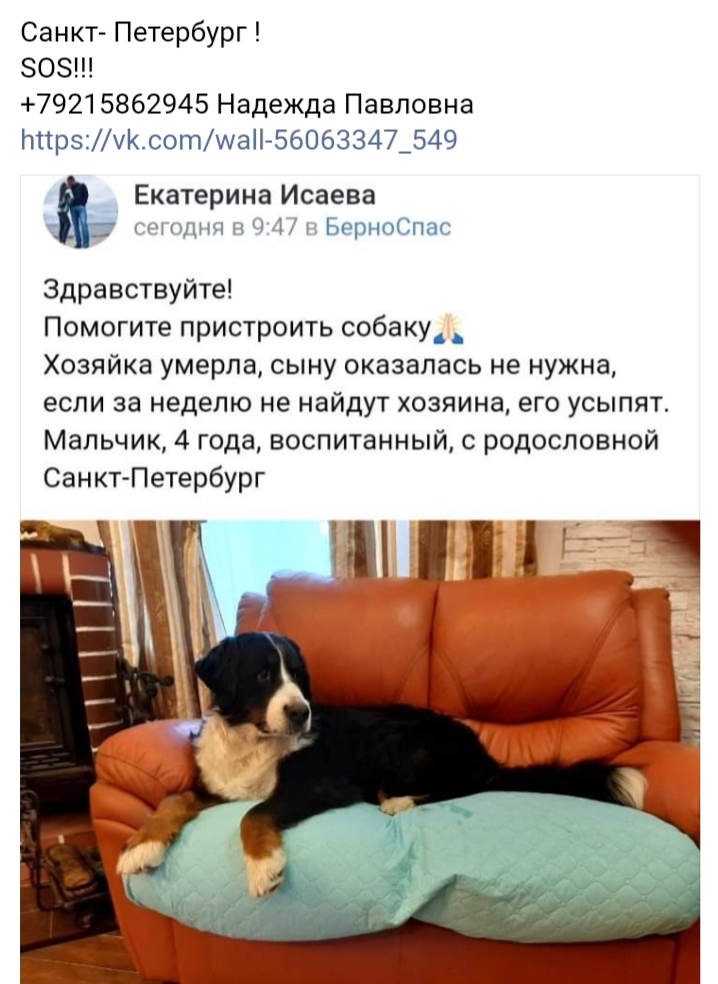 20201230_222342.jpg