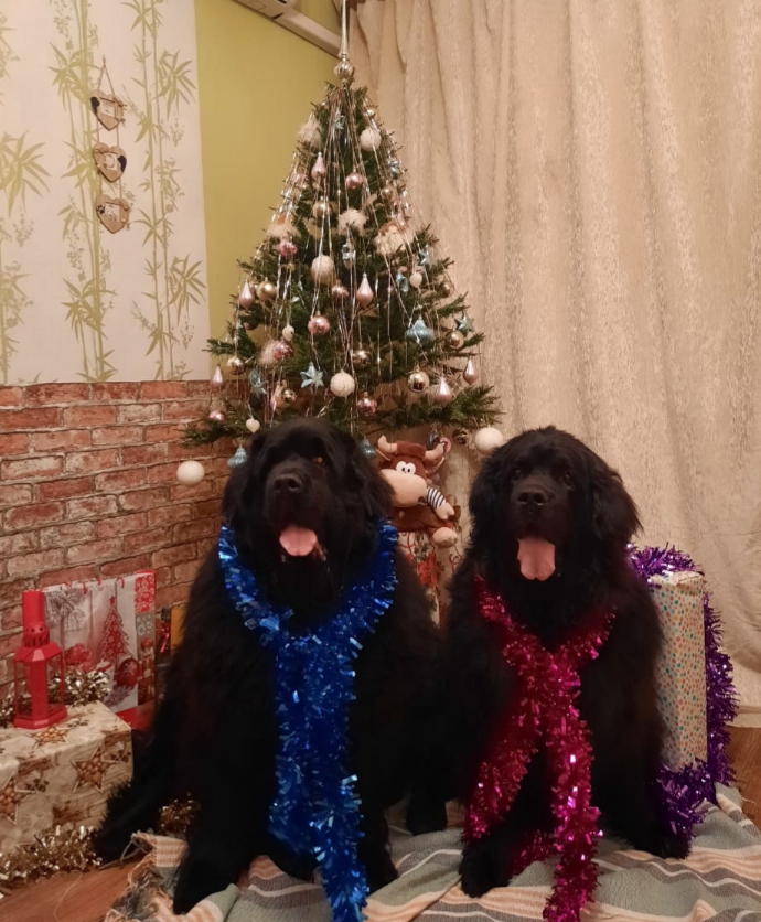 20201231_192002.jpg