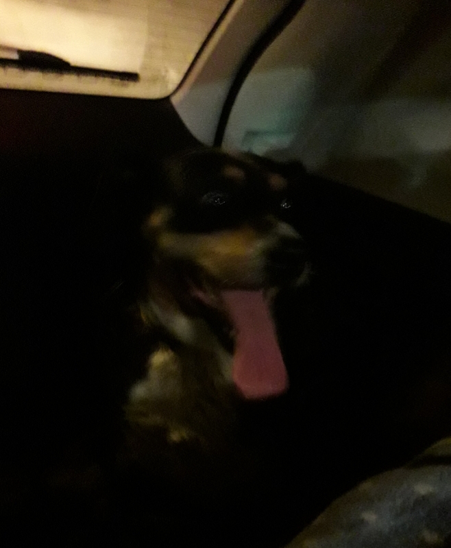 20210124_230023.jpg