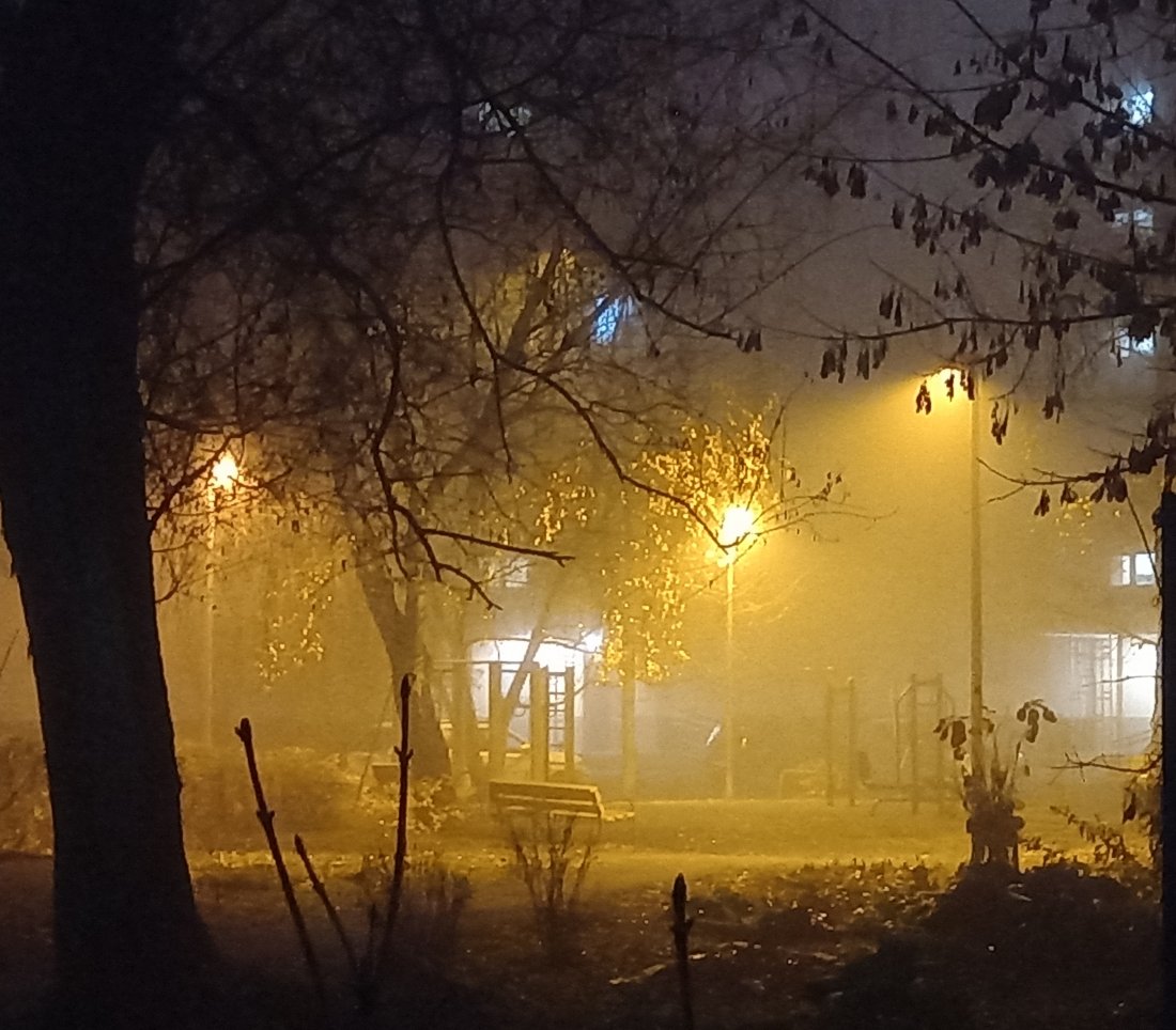 20211102_073523.jpg