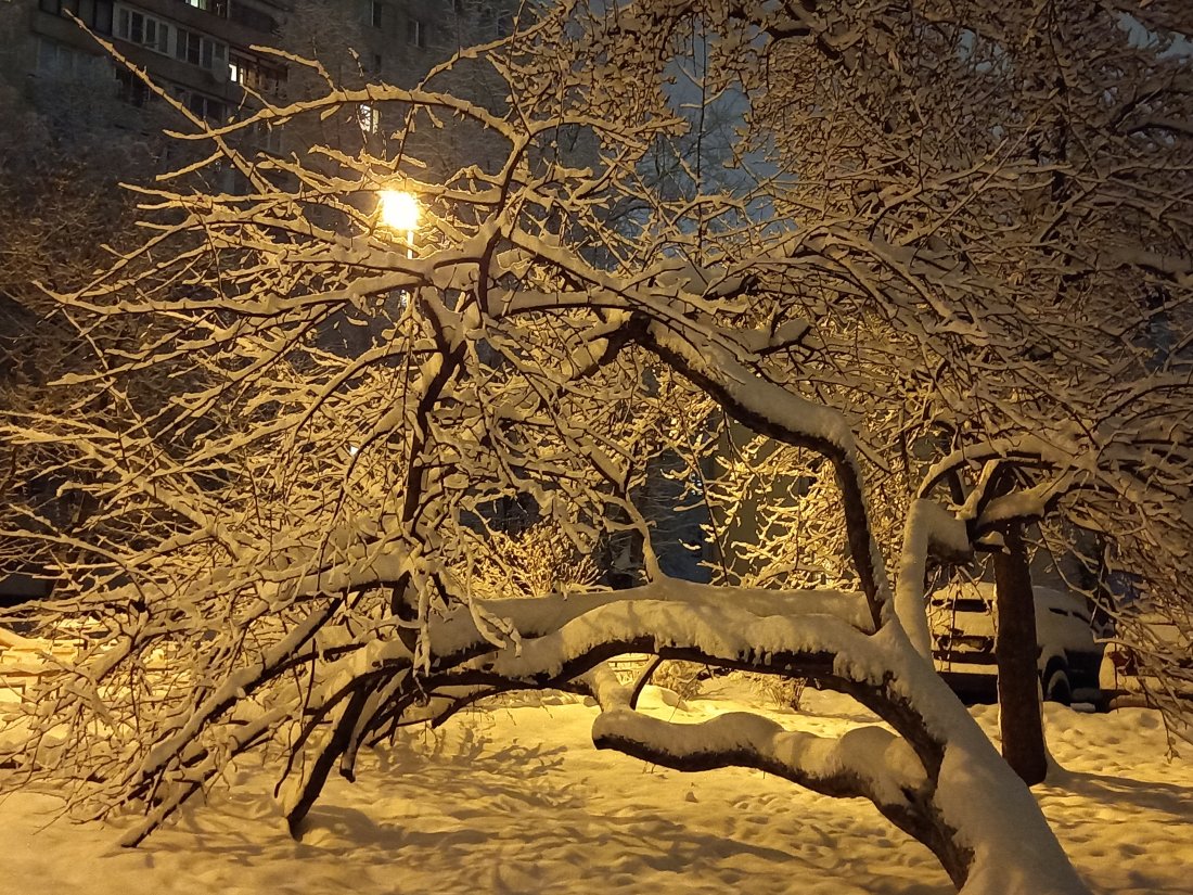 20211214_065819.jpg