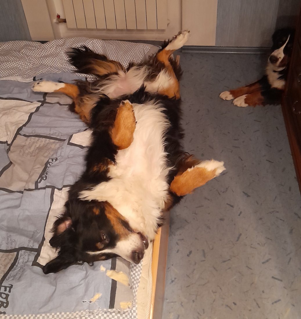 20220124_233543.jpg