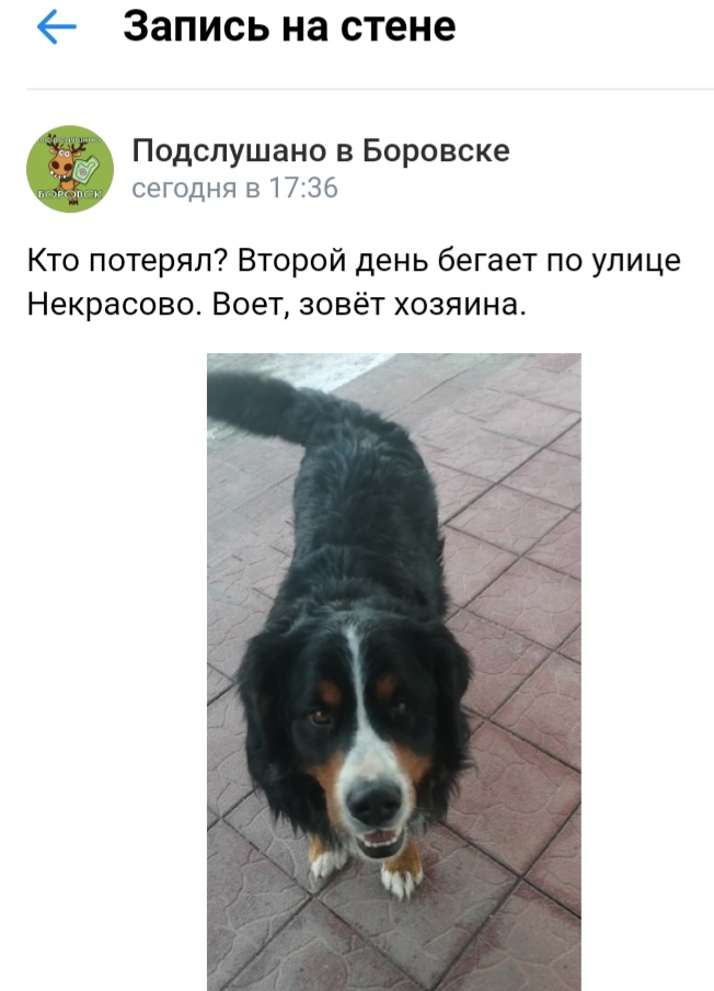 20220227_185304.jpg