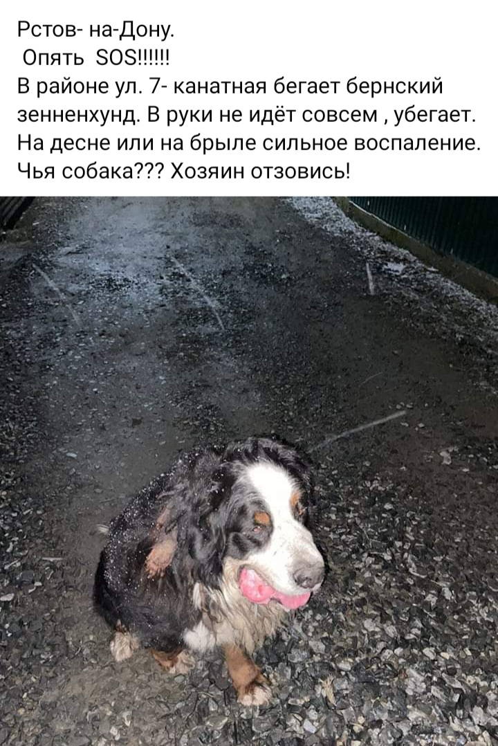 20220305_231240.jpg