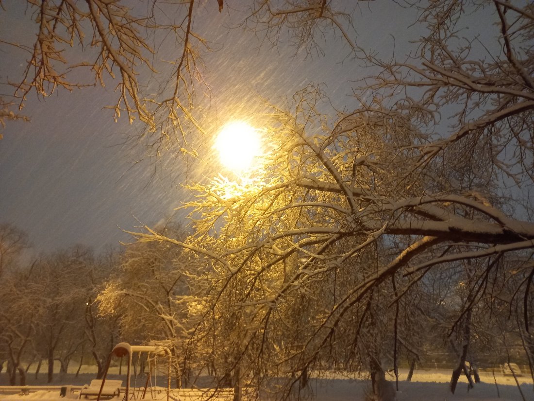 20220402_200908.jpg