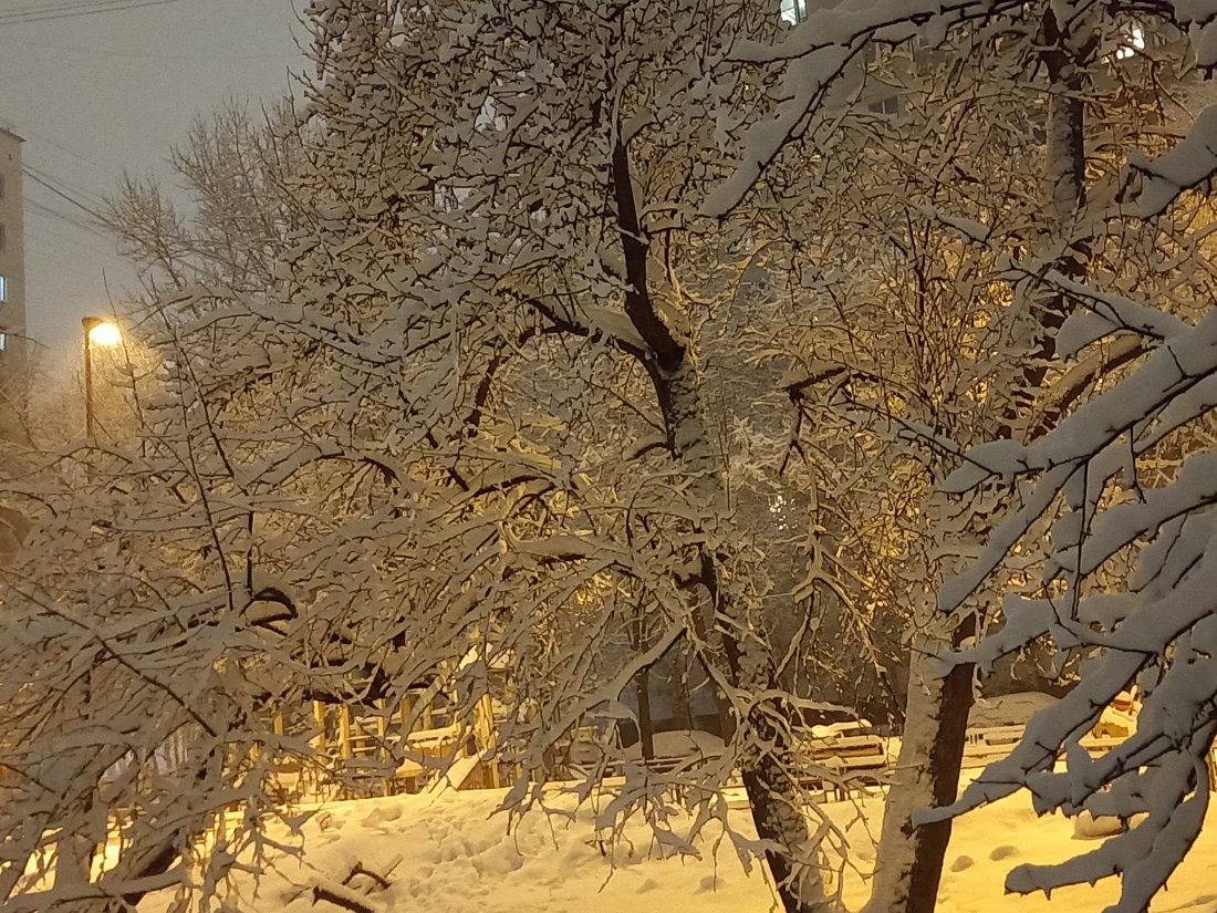 20220402_201853.jpg
