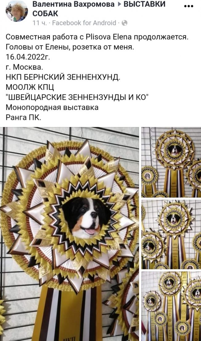 20220410_082857.jpg