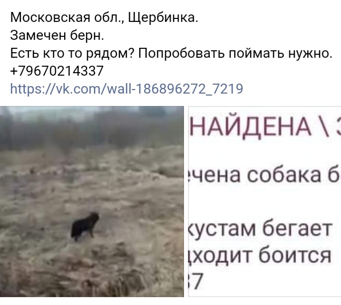 20220412_143137.jpg