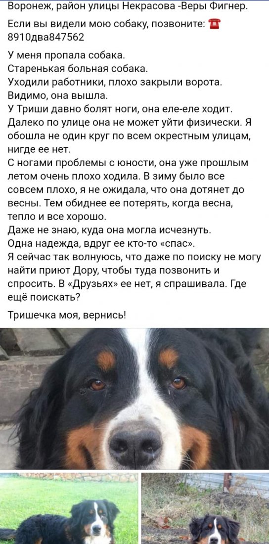 20220425_214455.jpg