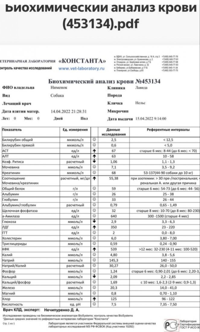 20220501_163630.jpg
