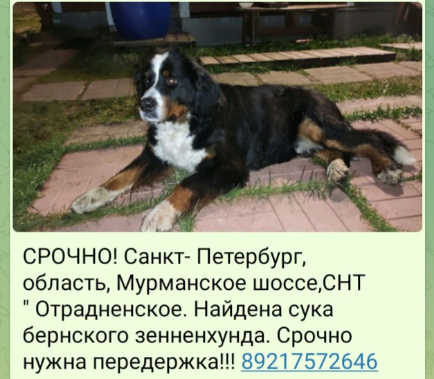20220508_232229.jpg