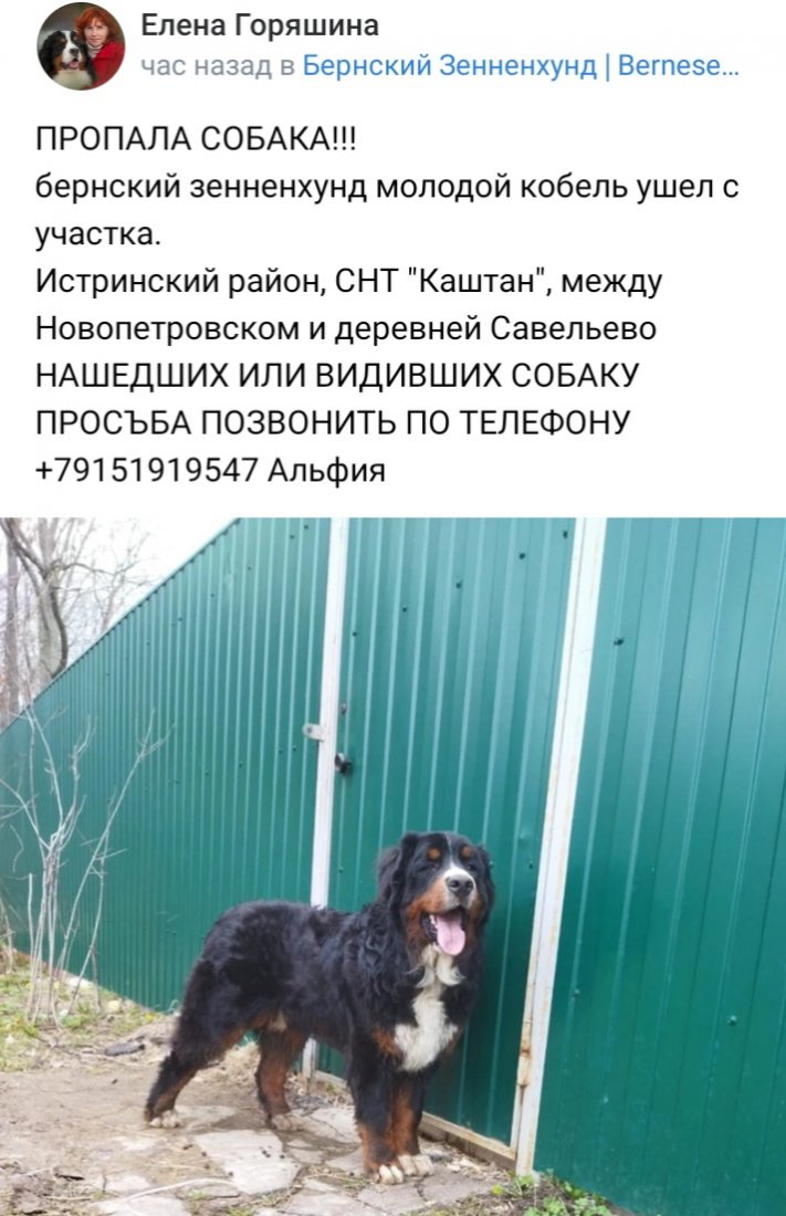 20220520_185645.jpg
