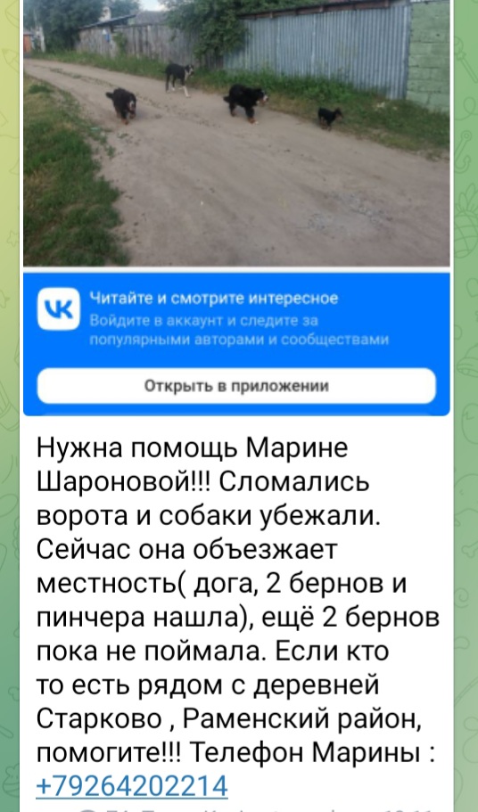 20220627_161010.jpg