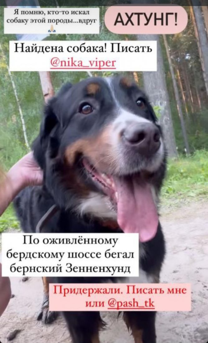 20220709_203434.jpg