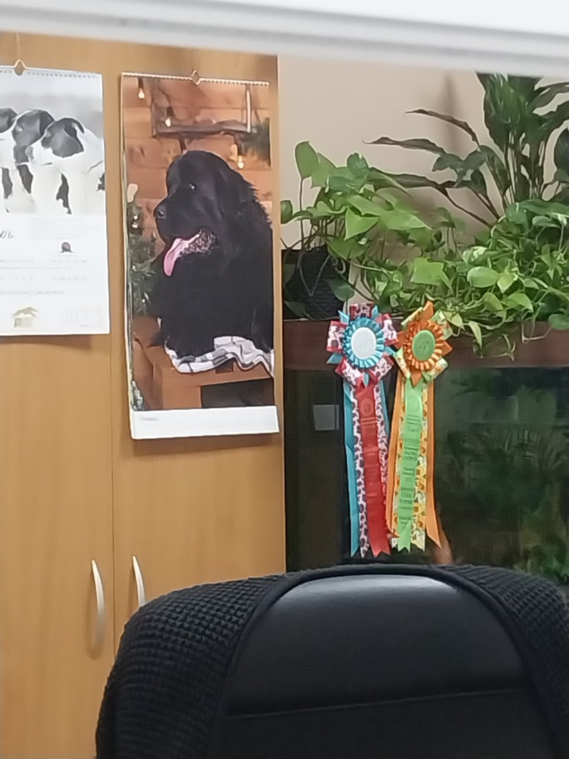20230131_094015.jpg