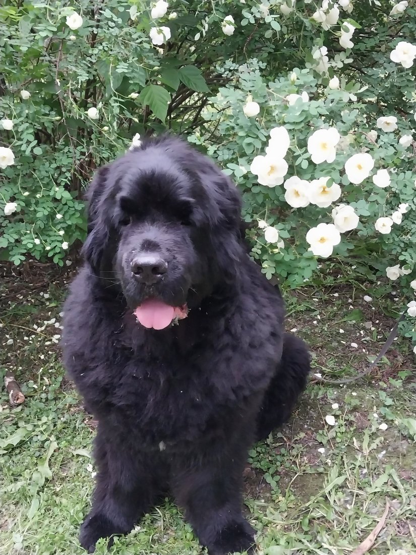 20230607_172147.jpg