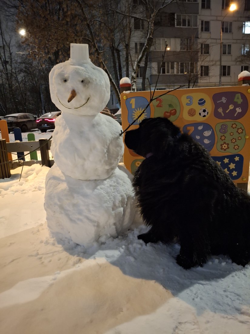 20251227_055441.jpg