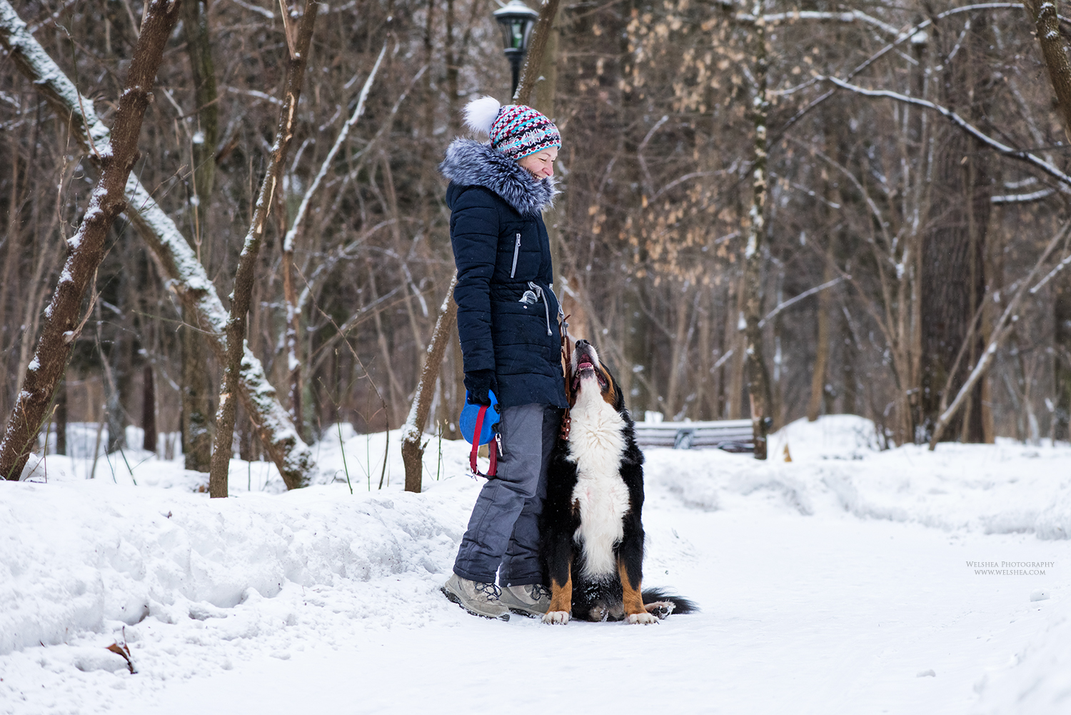 22-02-2017_Bernese-Antonio_29.jpg