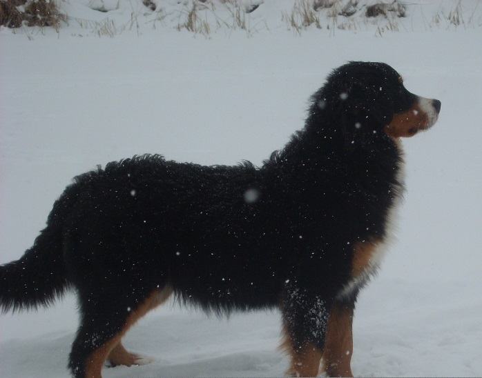 25.01.  В8.jpg