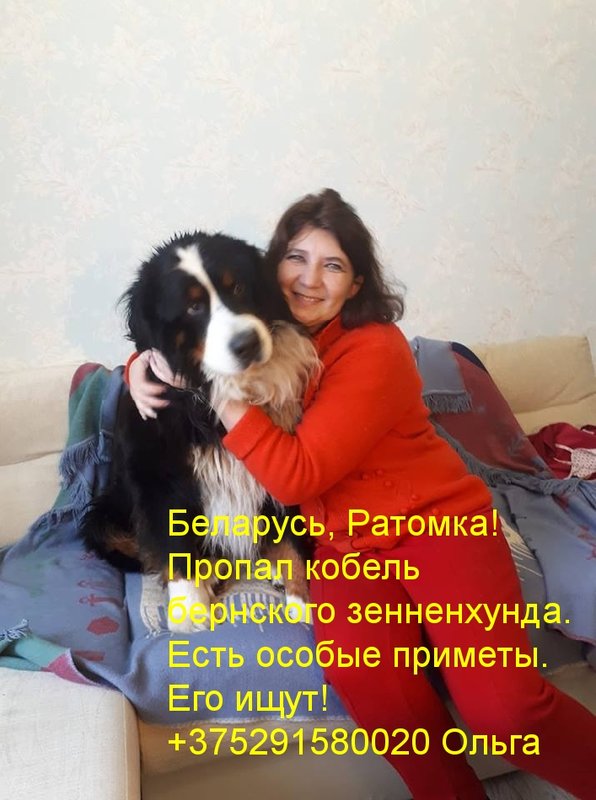 26b43b98.jpg