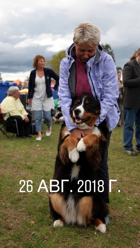 31C089AF-A58D-4EA7-A03F-5400F317AAC3.jpeg