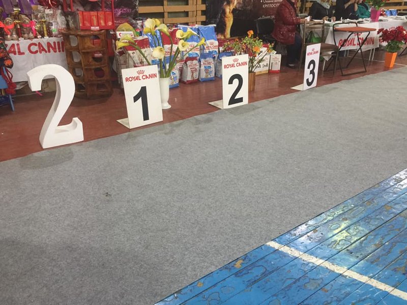 43186983_2523043447706570_1197669497553551360_n.jpg