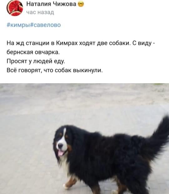 6AE47B2B-940A-404B-81F9-FD04F6C090F2.jpeg