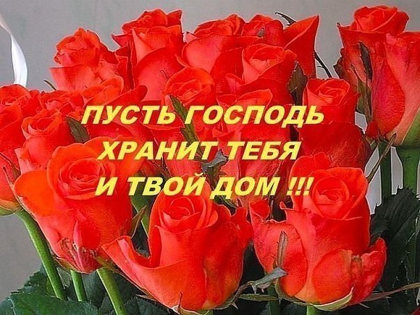 7019c631a8120c69f1f6d66d0eac6024.jpg