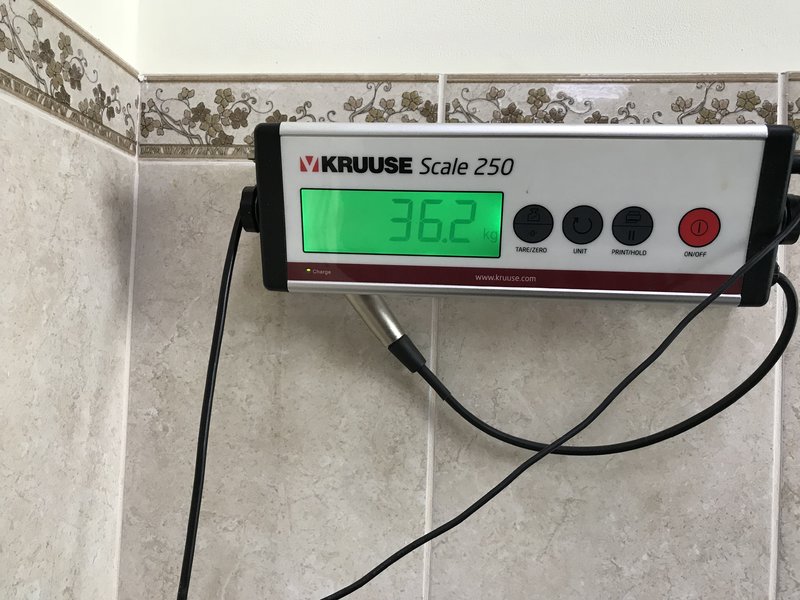 20497
