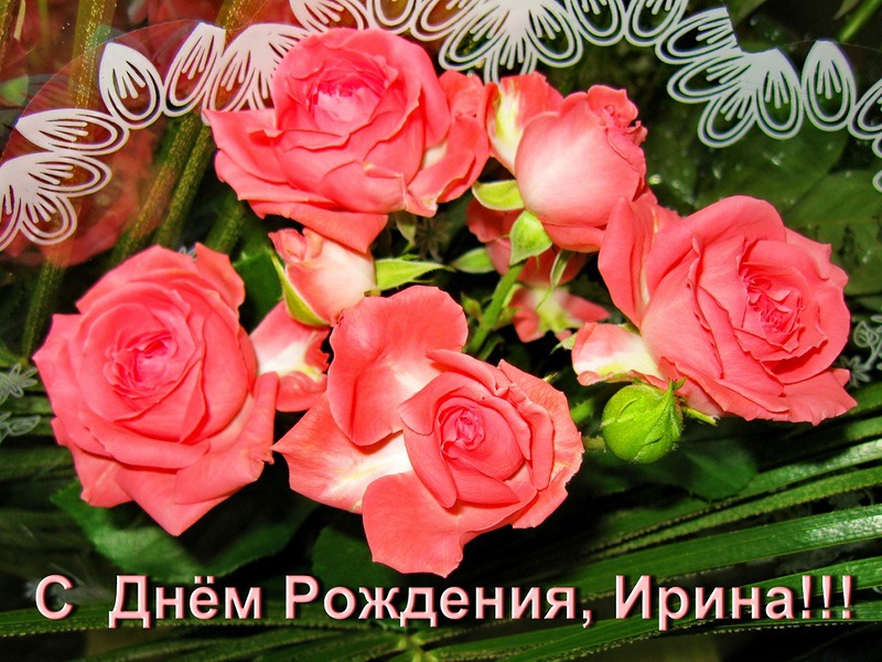 7966503.jpg