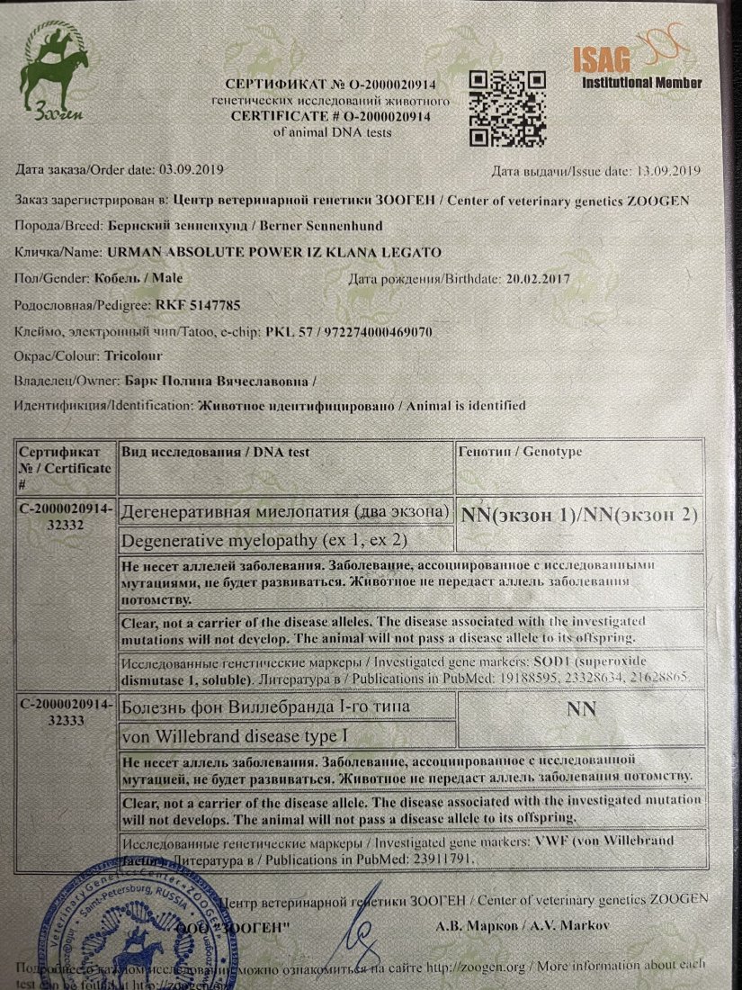 8E53655E-4540-4ECA-BAC9-DFE06DB068AC.jpeg