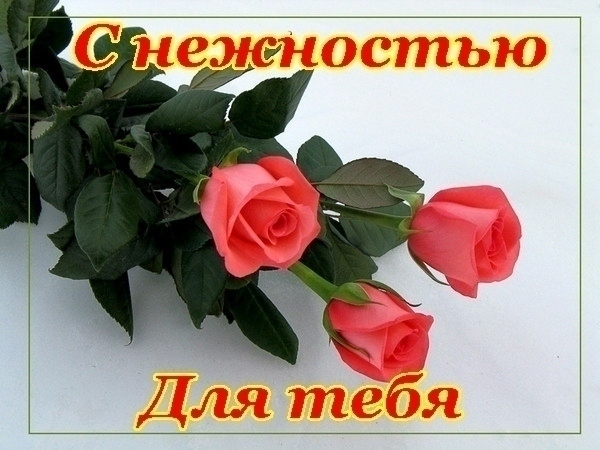 &_1512[1].jpeg