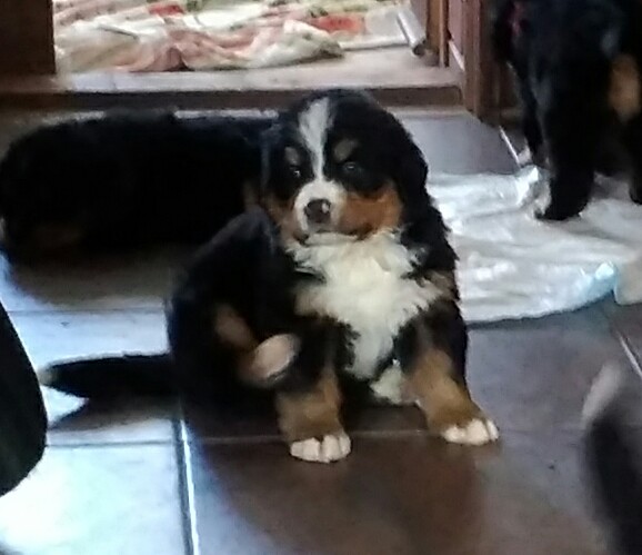 _20180330_113903.JPG