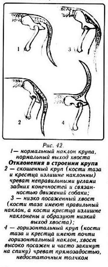 b0496e398e07.jpg