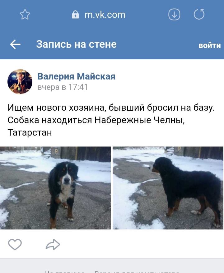 BD6881F5-3E1D-408E-9E1F-CA28E14AC963.jpeg