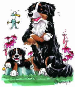 BERNESEMOUNTAINDOG2.jpg