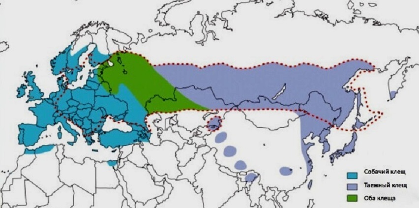 content_22__econet_ru.jpg
