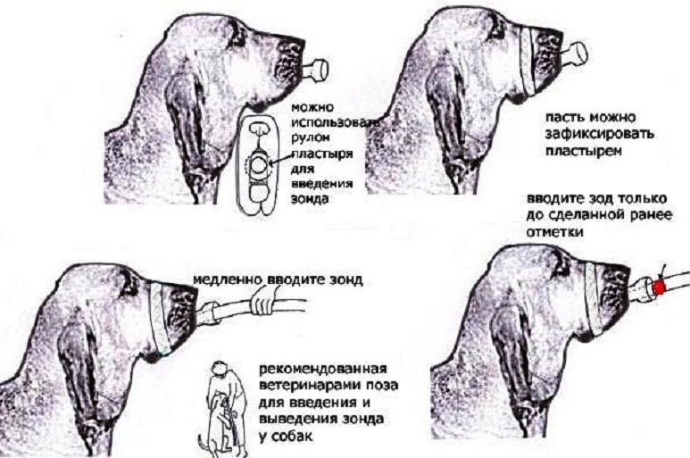 dbeb20a0bfab67bb5b.jpg
