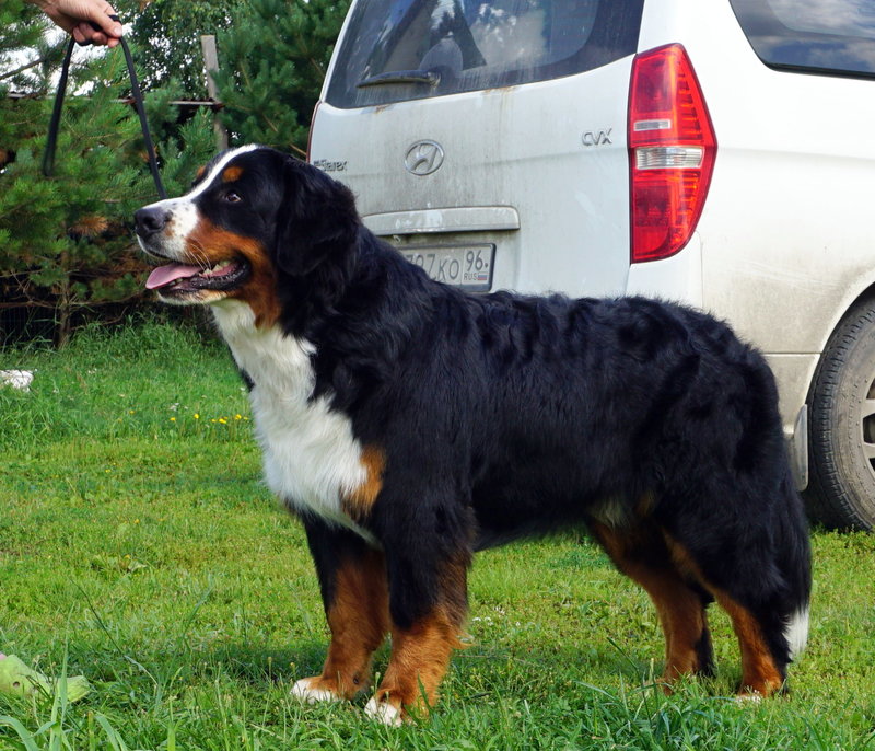 DSC01304.JPG