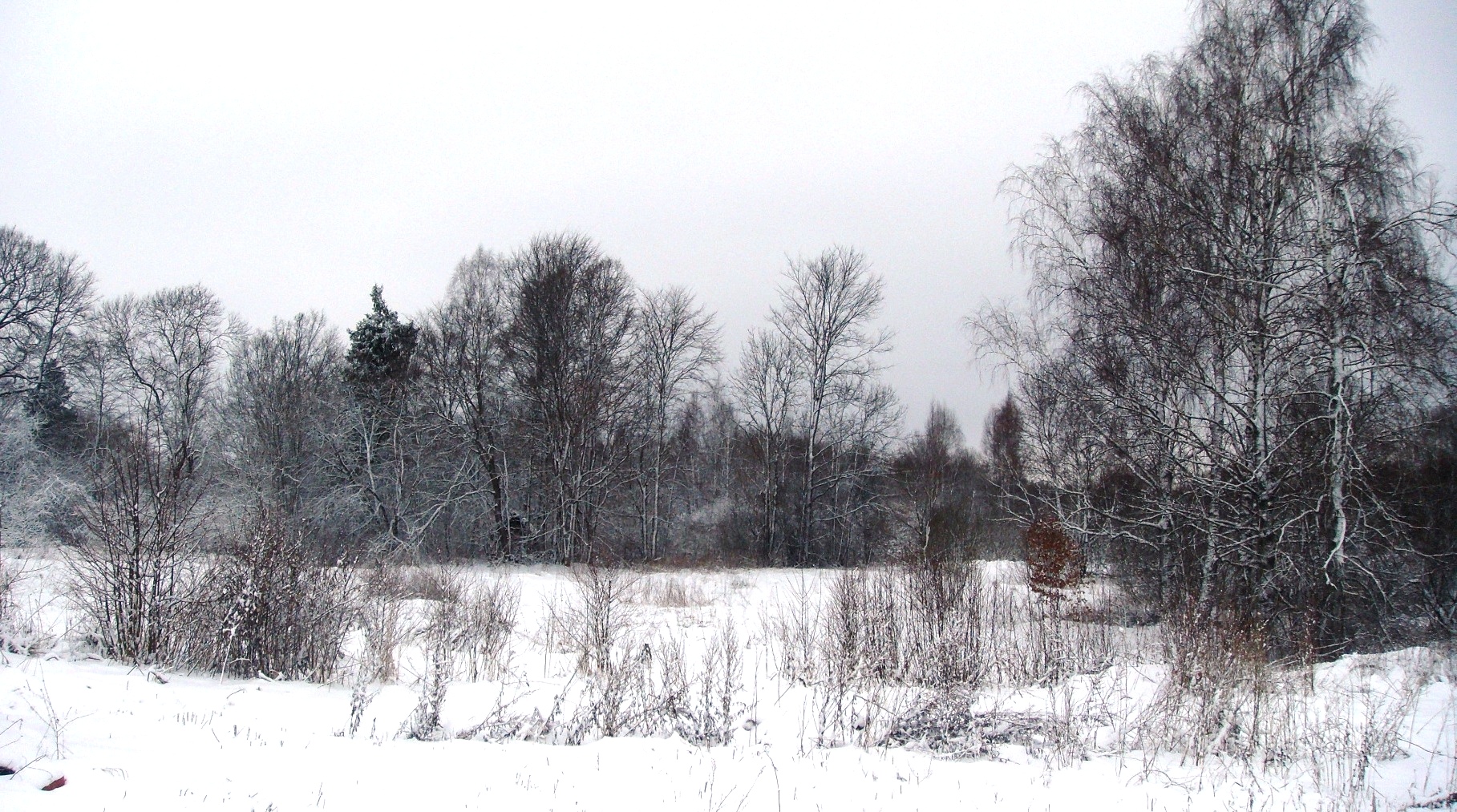 DSC03398.JPG