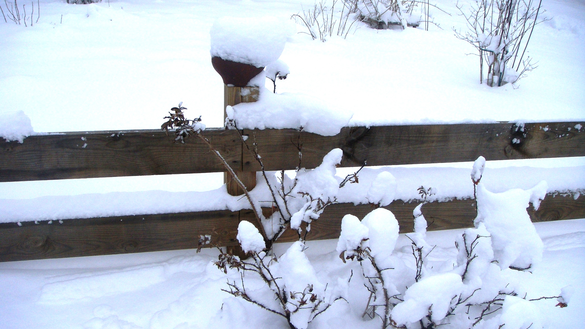 DSC03430.JPG