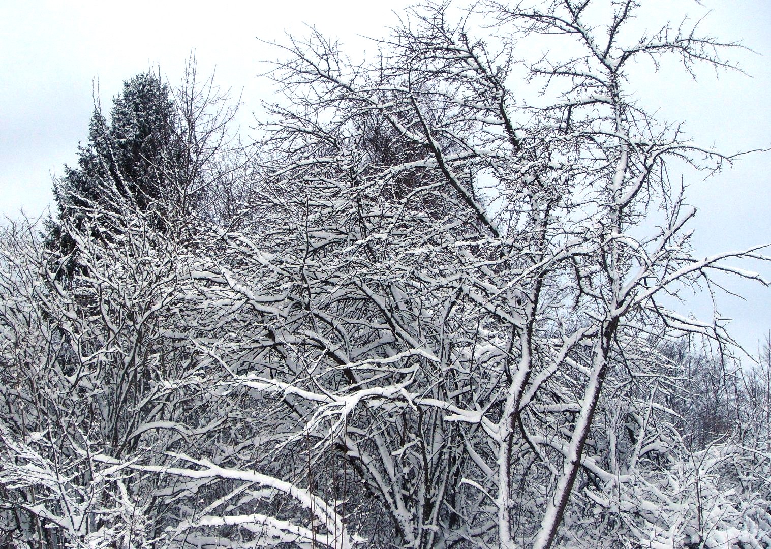 DSC03435.JPG