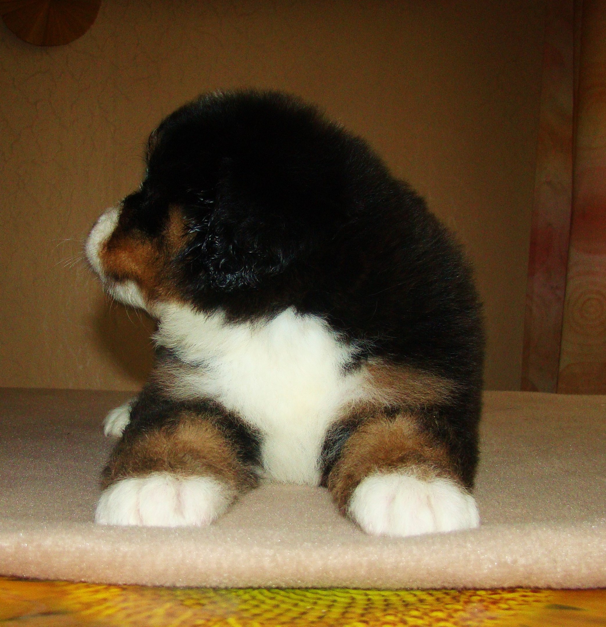 DSC03445.JPG