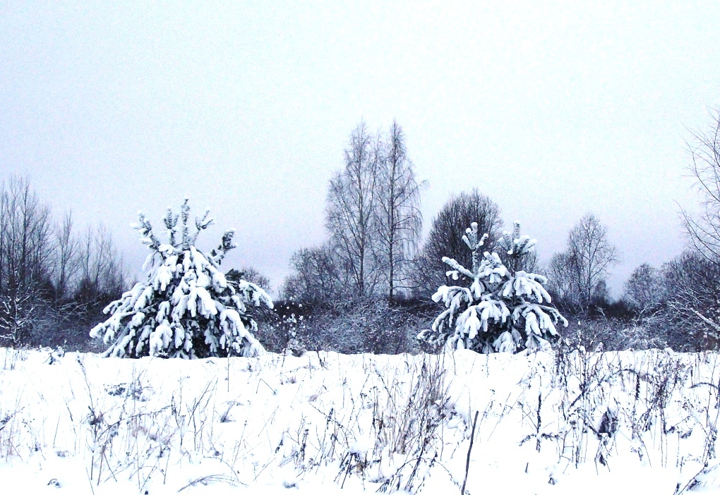 DSC03450.JPG