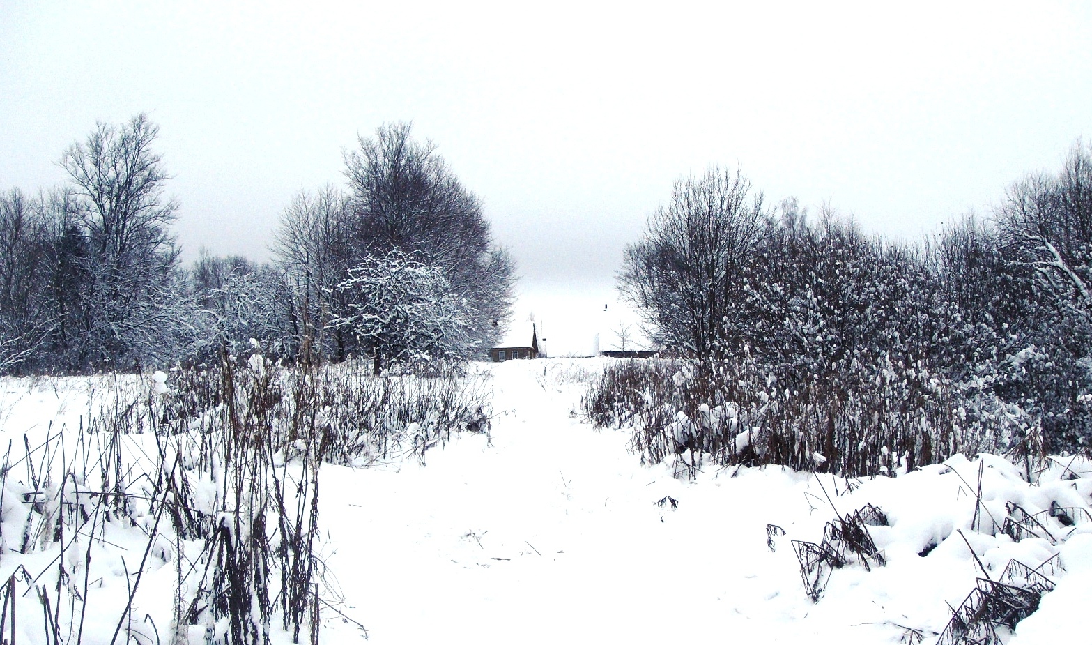 DSC03453.JPG