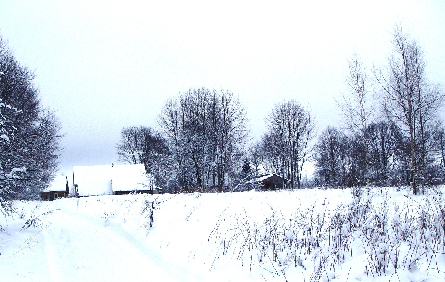 DSC03456.JPG
